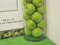 Стоматология в Балаково. Детская стоматология на Братьев Захаровых 54.